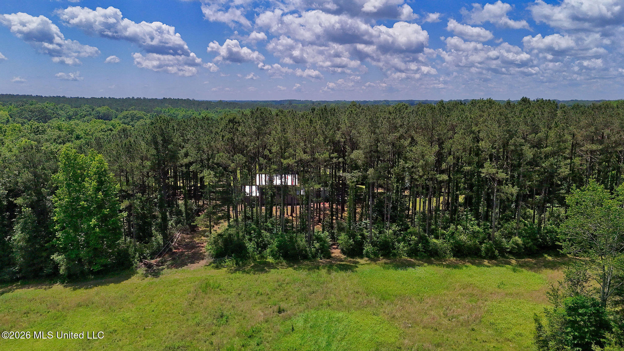 37 Fortenberry Road Tylertown, MS 39667 - Photo 33 of 83 DJI_20260513115908_0177_D