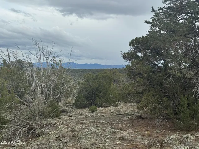a view of a dry yard with wooden fence