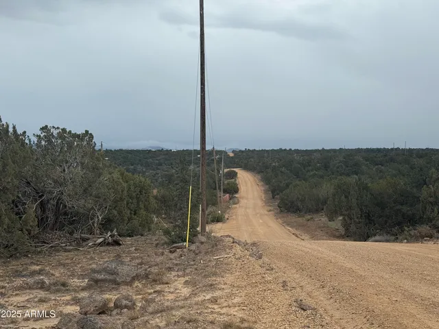 $13,500 | 24 Acr 8051, Unit 2355, Show Low, AZ 85901