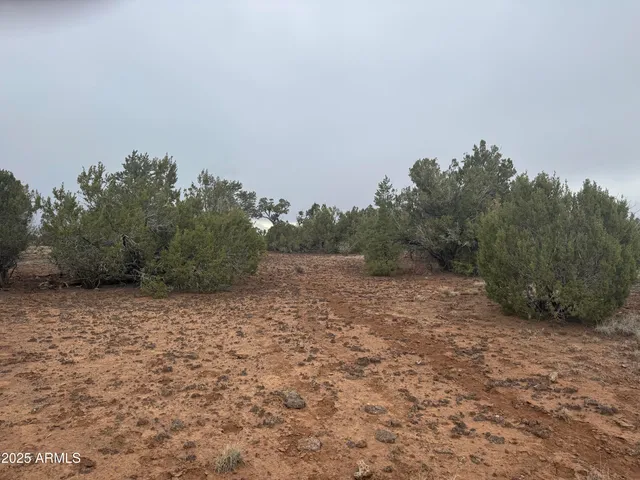 a view of outdoor space and trees