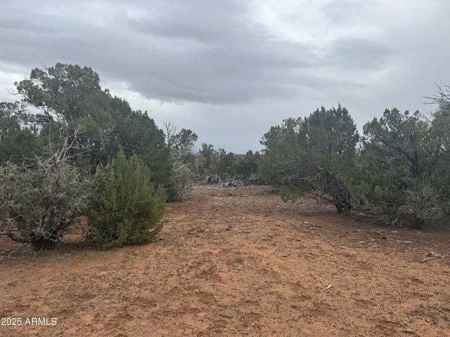 a view of a dry field with trees in the background