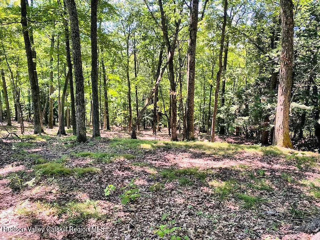 $895,000 | 110 Meadow Lane, Hillsdale, NY 12529