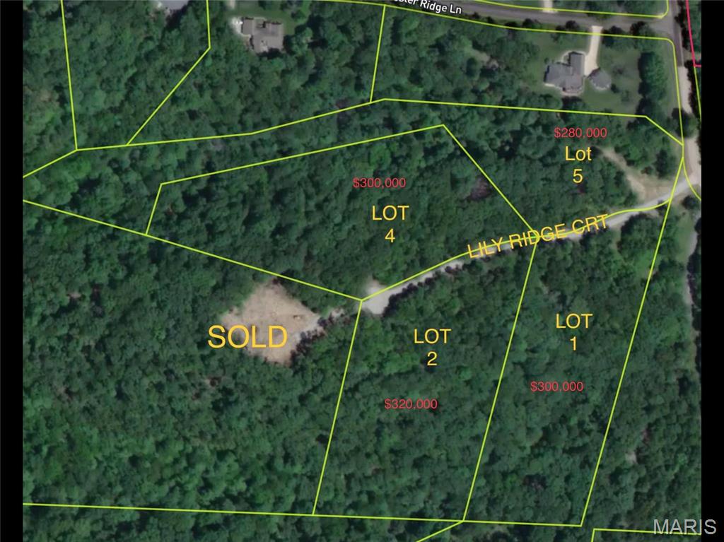 5001 Lily Ridge Defiance, MO 63341 - Photo 3 of 5
