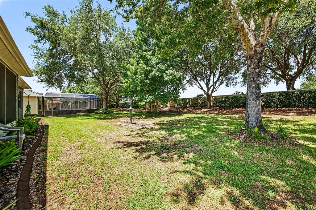 181 Crepe Myrtle Drive Groveland, FL 34736 - Photo 27 of 27