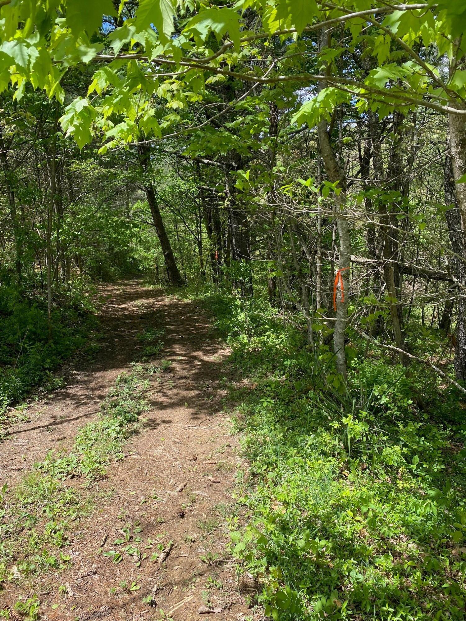 1 Gravely Point Road Pipestem, WV 25979 - Photo 1 of 2 Gallery Image 1