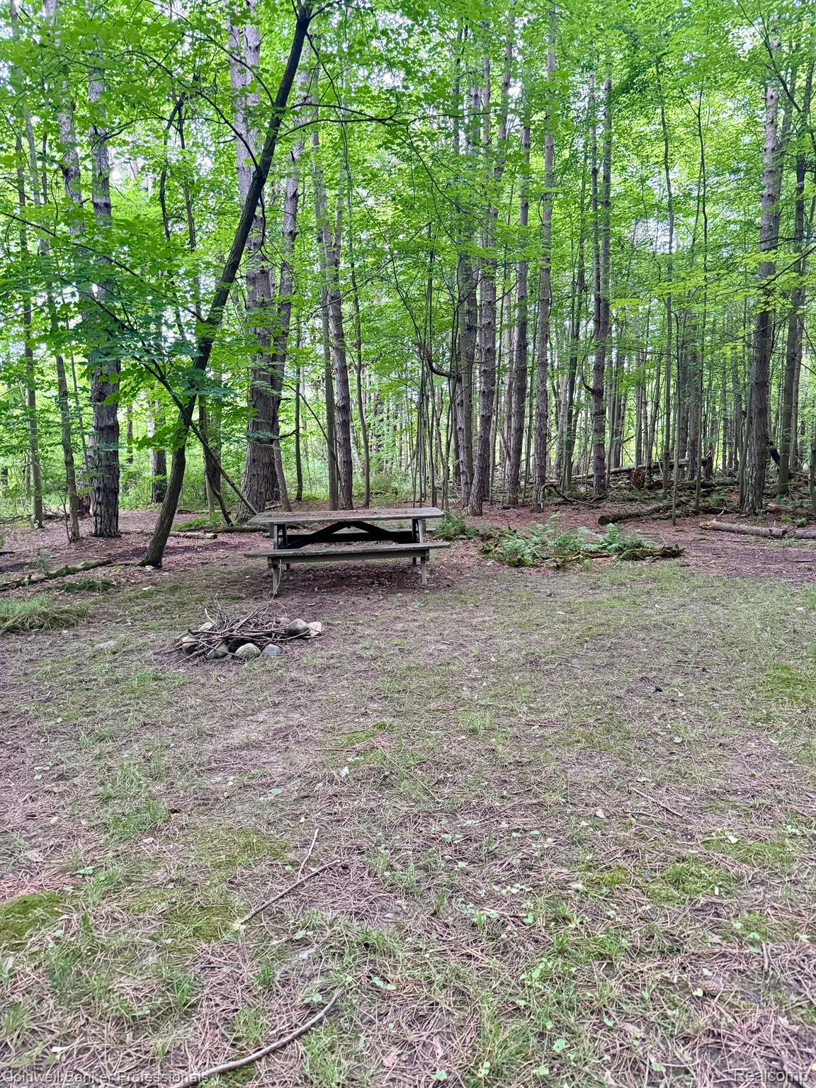 5166 Skelton Road Columbiaville, MI 48421 - Photo 84 of 99 Campsite in Back