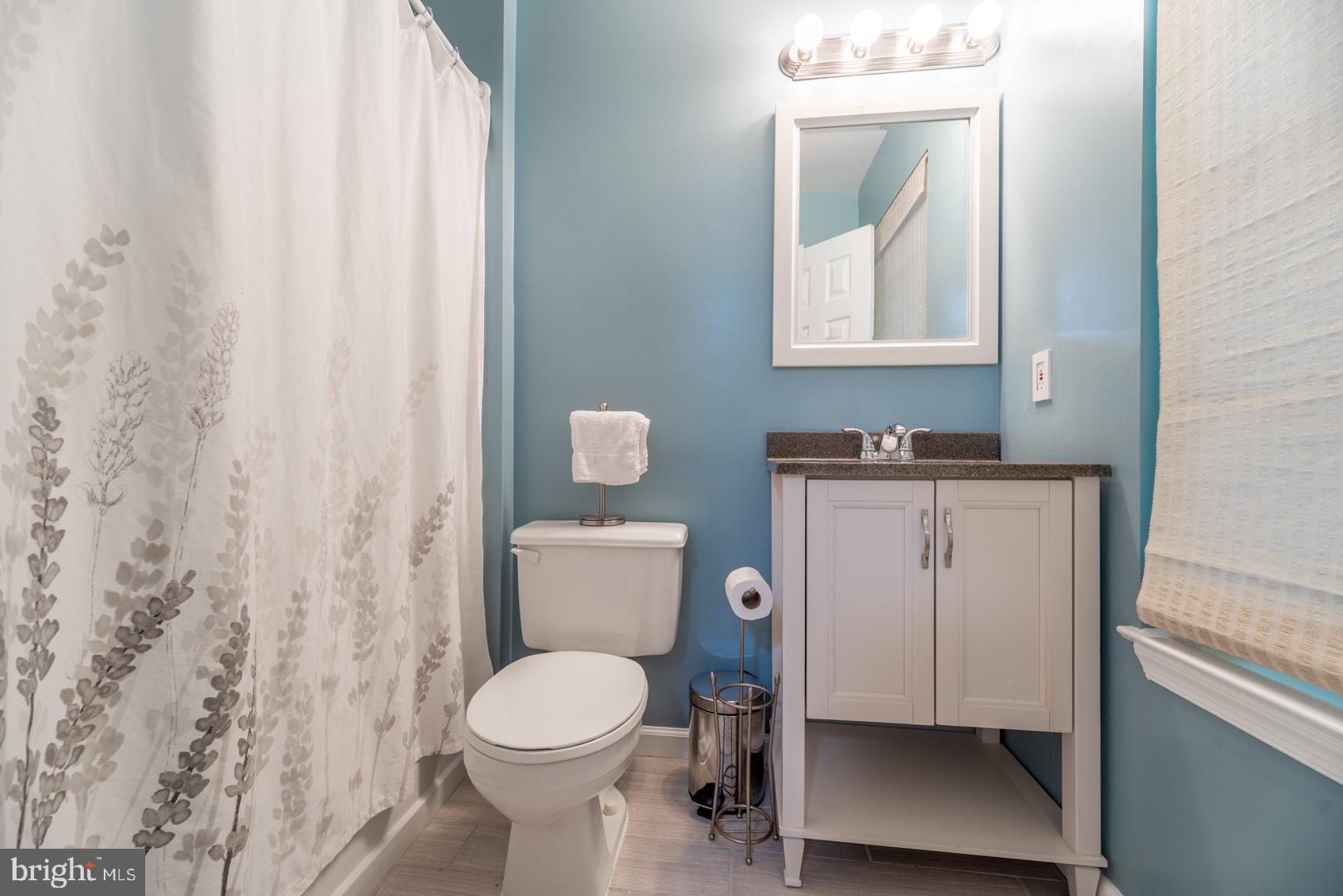 304 Rangers Way Southeast Leesburg, VA 20175 - Photo 23 of 26 Lower Level Full Bath