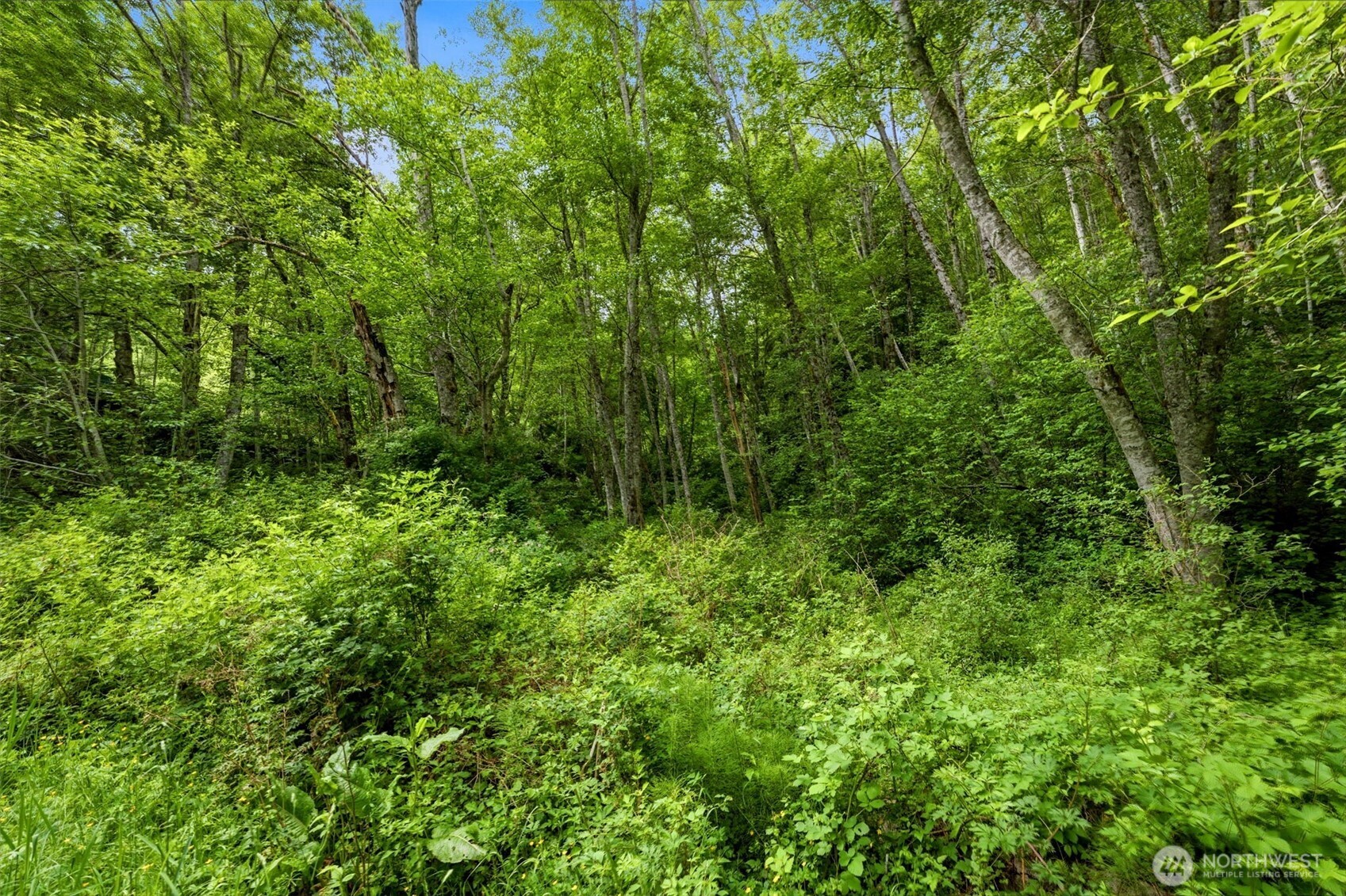 241 Northeast Rendsland Creek Road Tahuya, WA 98588 - Photo 25 of 28