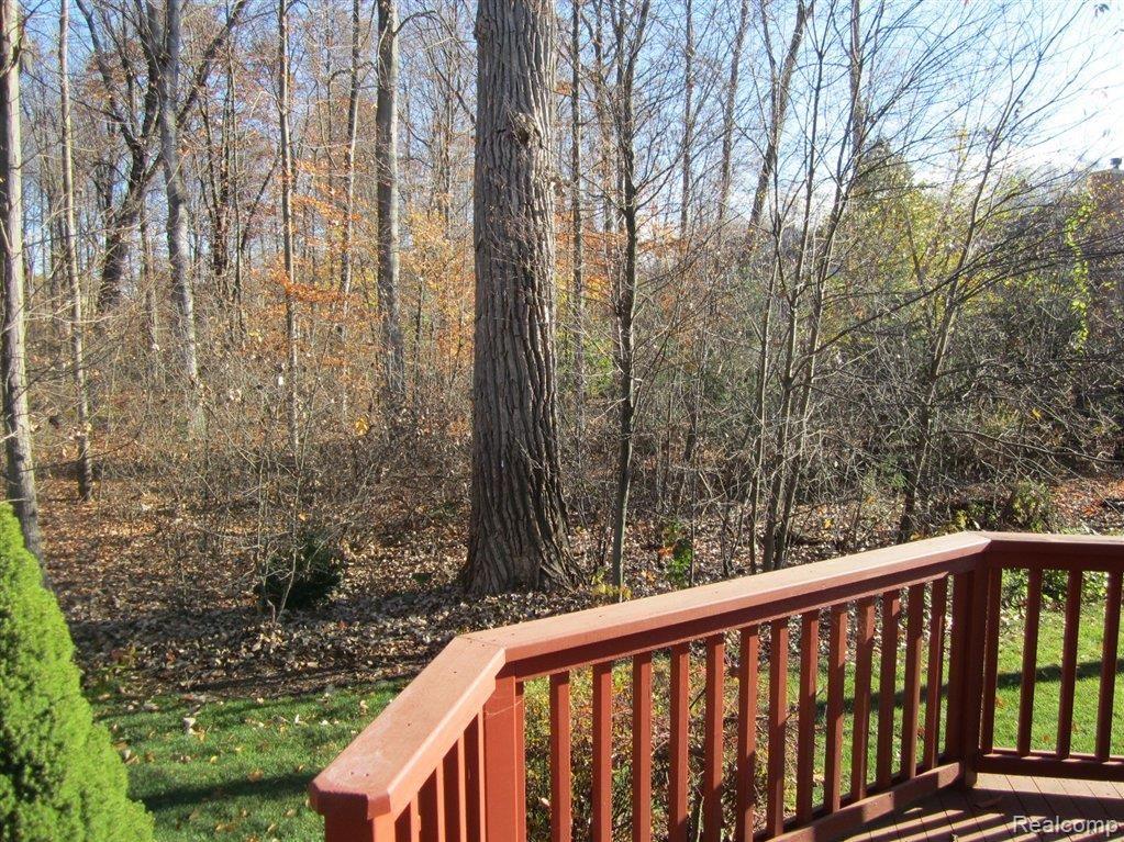 1641 Lasalle Road Canton, MI 48187 - Photo 21 of 23 Protected Back Woods