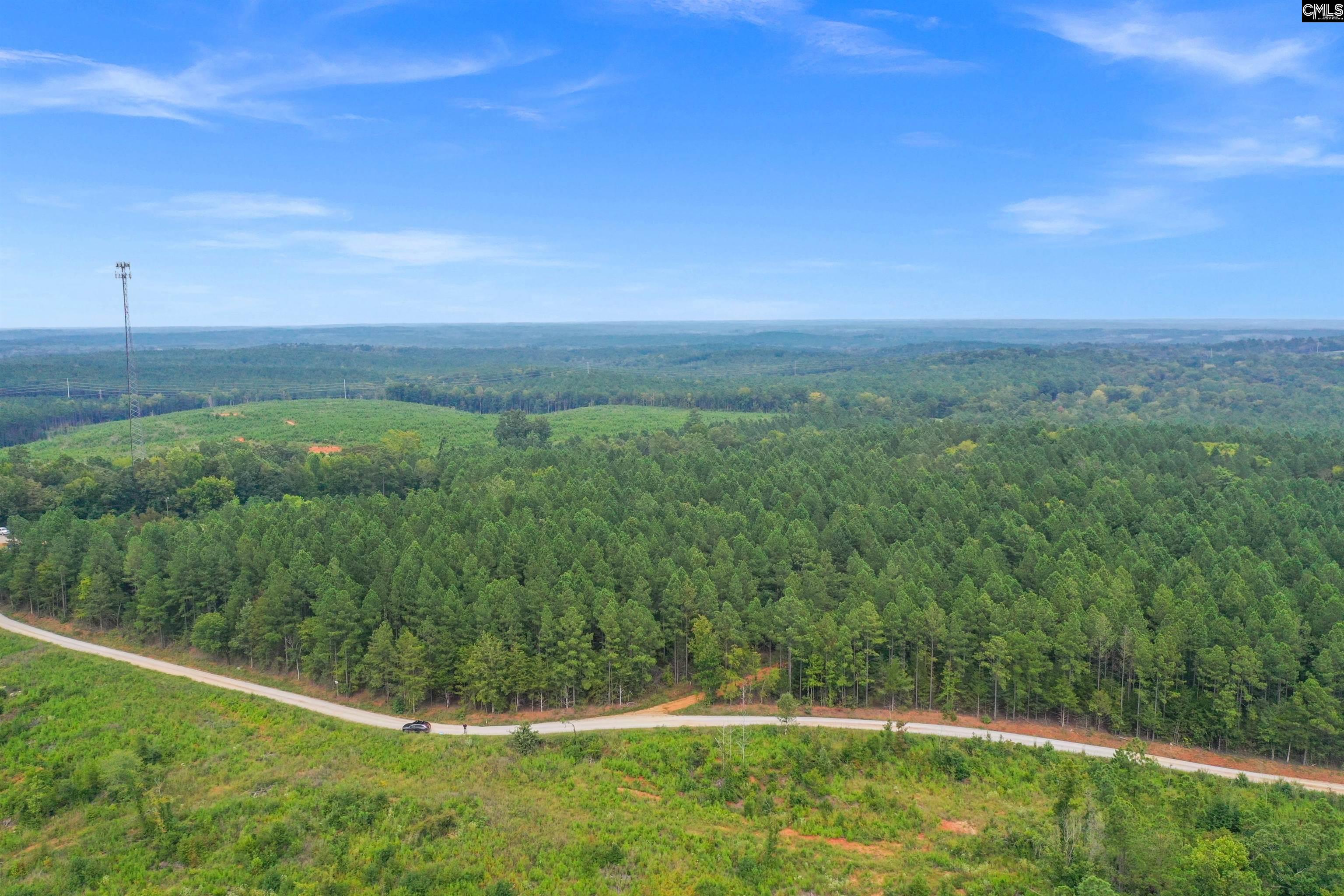 0 Penner Road, Unit 10 Jenkinsville, SC 29065 - Photo 19 of 43