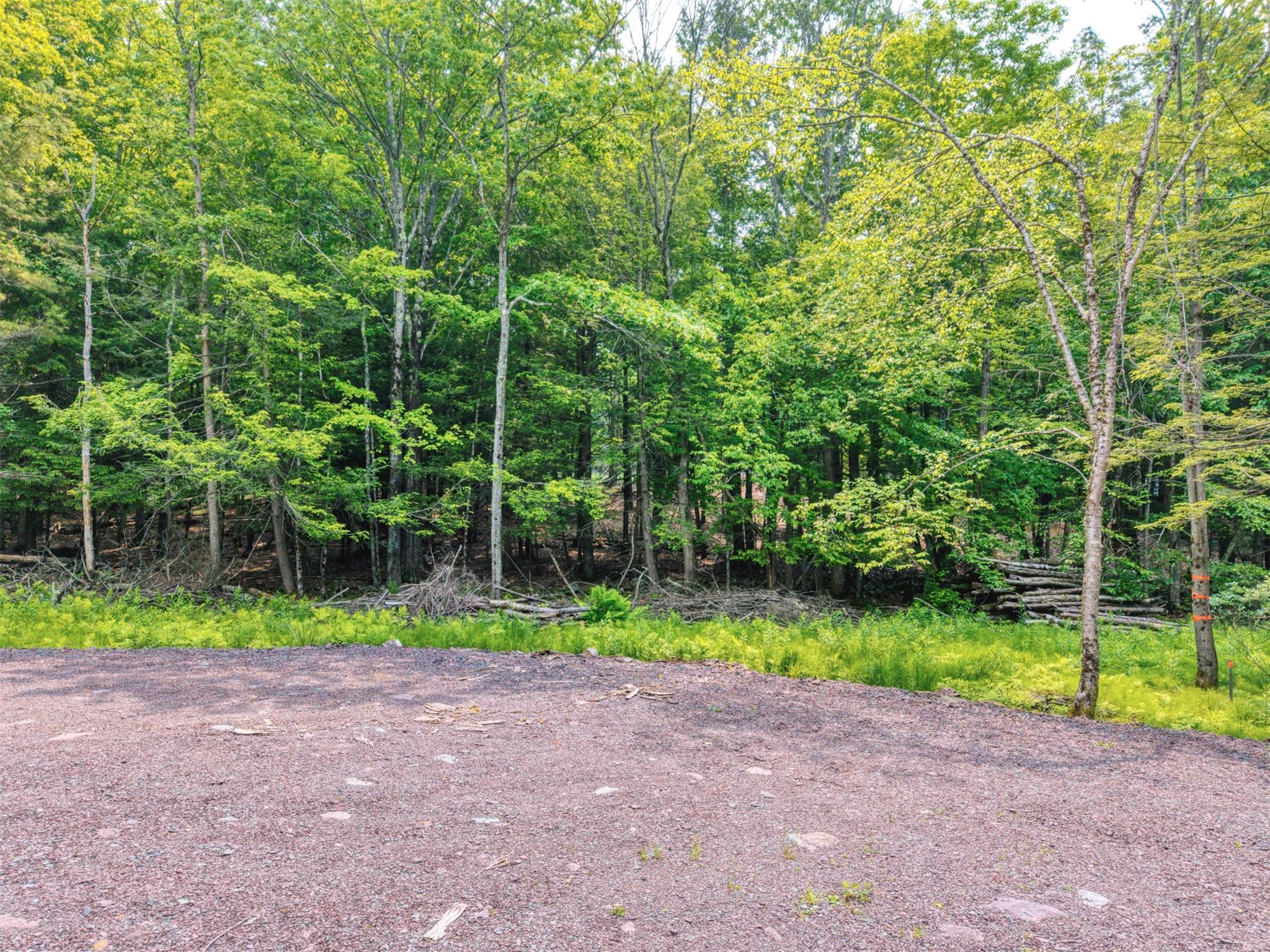 Tbd Boulder Brook Road Windham, NY 12496 - Photo 8 of 49 View of wooded area