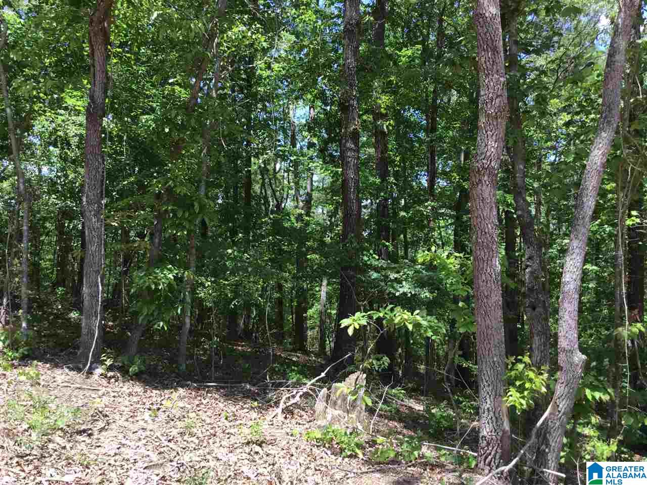 7237 Joinertown Road, Unit 7 09 ACRES Columbiana, AL 35051 - Photo 14 of 17