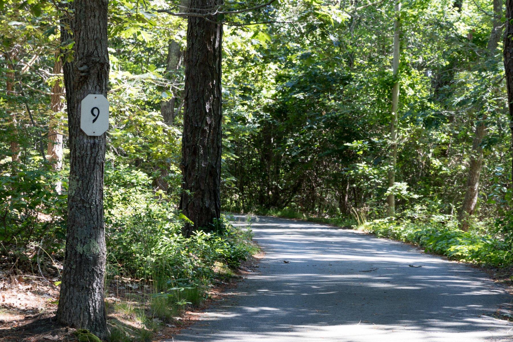 9 Portside Lane Orleans, MA 02653 - Photo 33 of 35 9 Portside Ln.