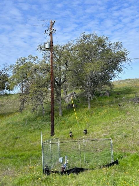 23710 Loper Valley Road Prather, CA 93651 - Photo 15 of 35 Wild turkeys headed up the hill