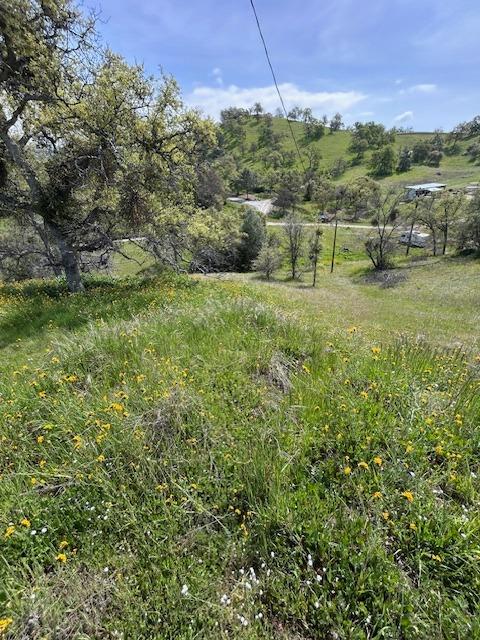 23710 Loper Valley Road Prather, CA 93651 - Photo 18 of 35