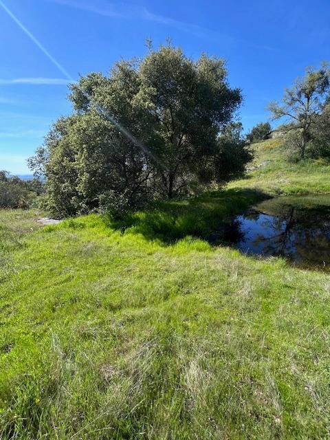 23710 Loper Valley Road Prather, CA 93651 - Photo 21 of 35 Seasonal Pond