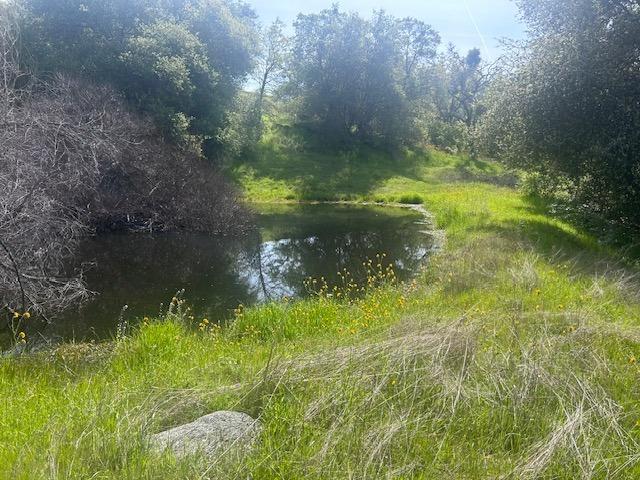 23710 Loper Valley Road Prather, CA 93651 - Photo 23 of 35