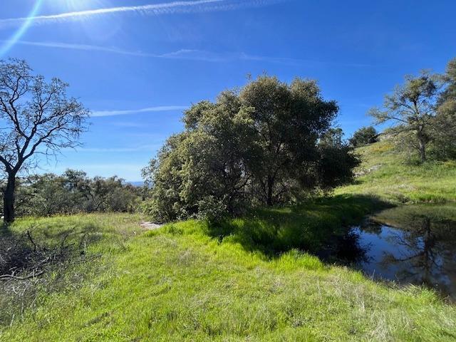 23710 Loper Valley Road Prather, CA 93651 - Photo 24 of 35