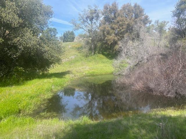 23710 Loper Valley Road Prather, CA 93651 - Photo 25 of 35