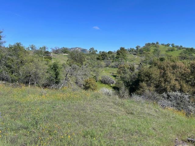 23710 Loper Valley Road Prather, CA 93651 - Photo 26 of 35