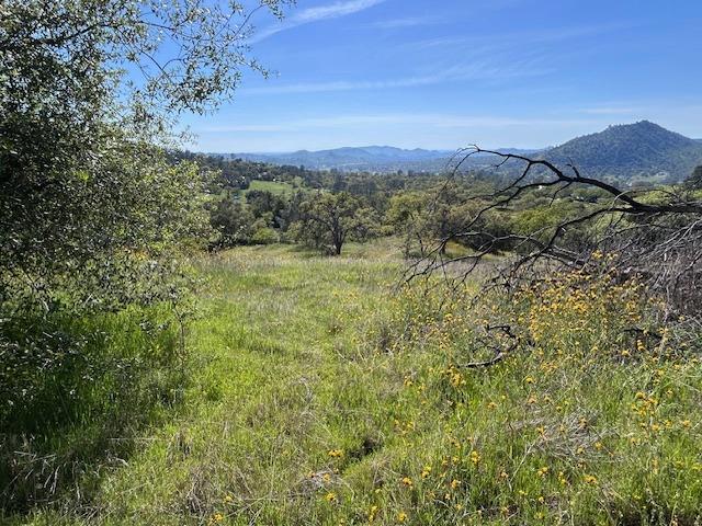 23710 Loper Valley Road Prather, CA 93651 - Photo 28 of 35