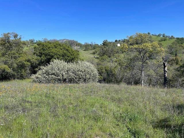 23710 Loper Valley Road Prather, CA 93651 - Photo 29 of 35