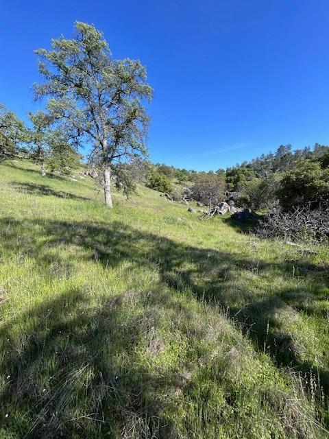 23710 Loper Valley Road Prather, CA 93651 - Photo 31 of 35