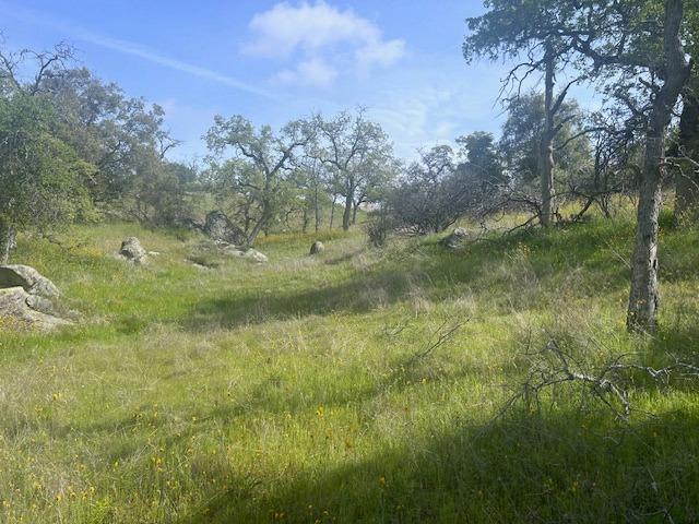 23710 Loper Valley Road Prather, CA 93651 - Photo 32 of 35