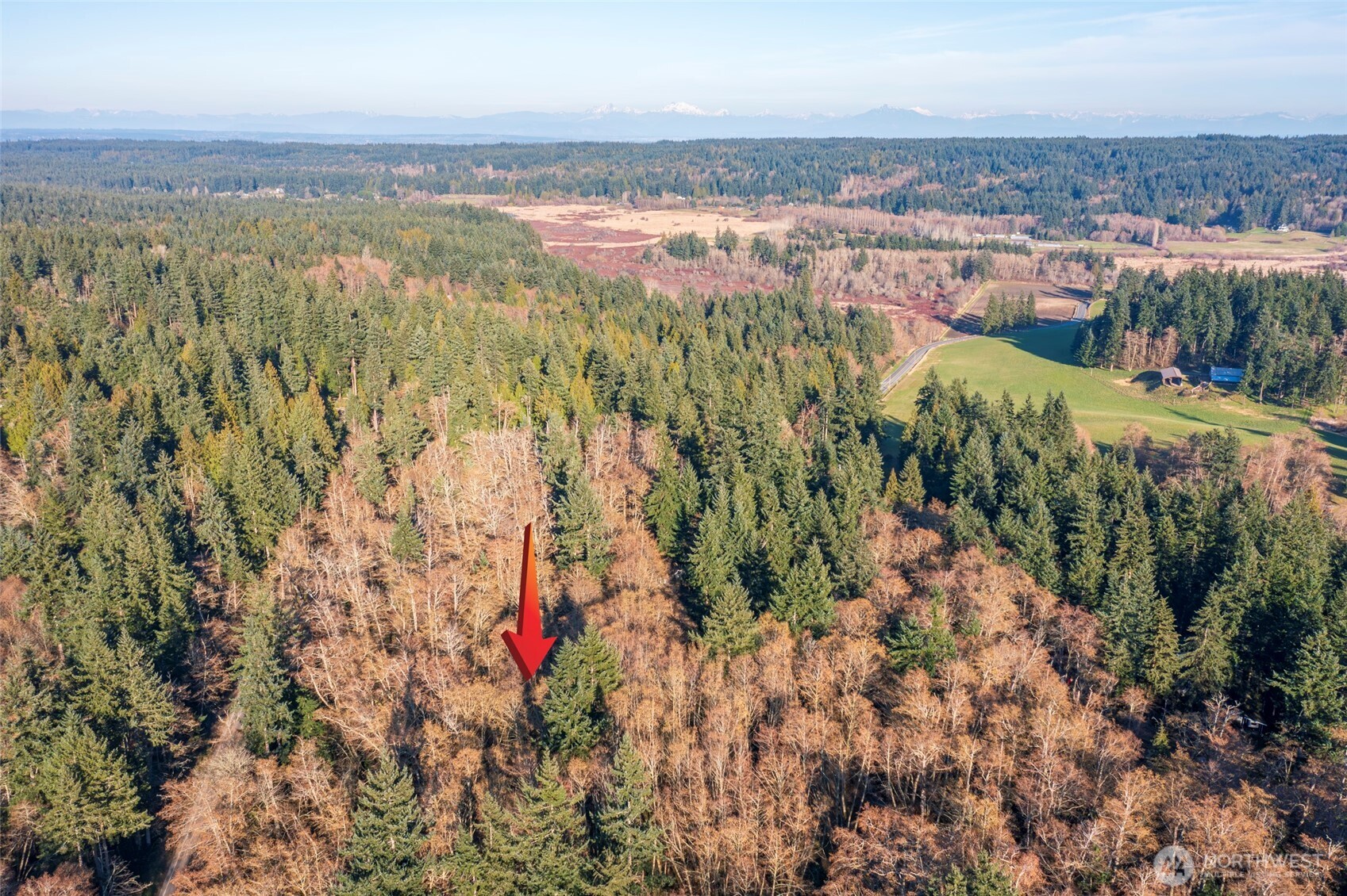 0 Ewing Clinton, WA 98236 - Photo 4 of 12