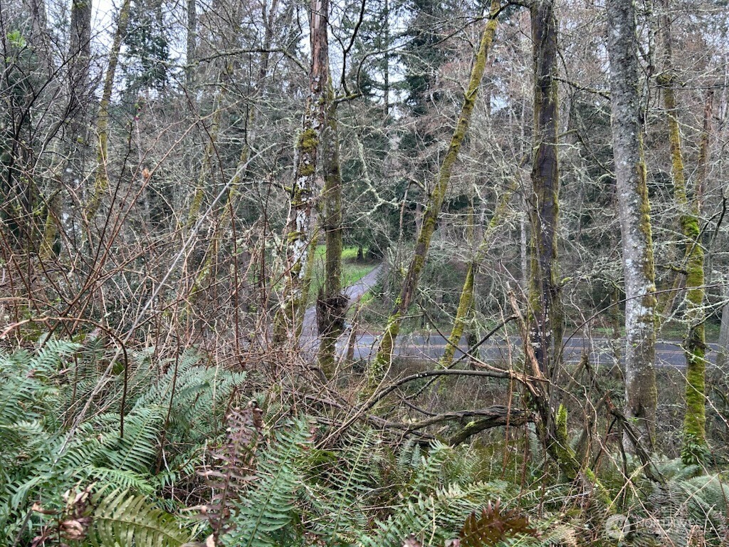 0 Ewing Clinton, WA 98236 - Photo 10 of 12