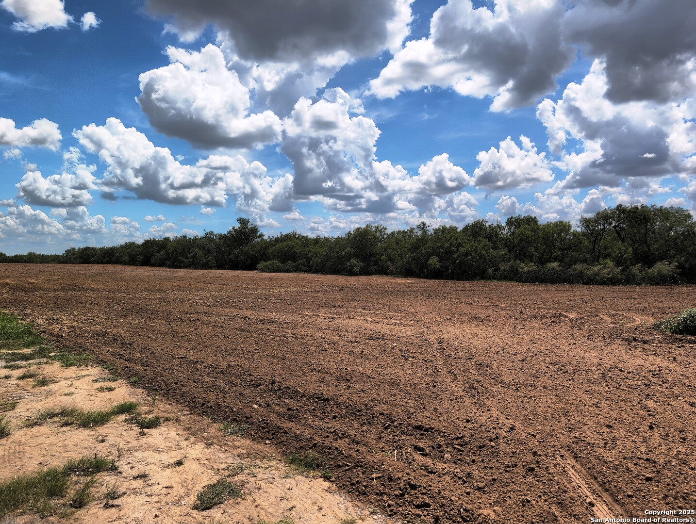 125-acres Cooksey Road Adkins, TX 78101 - Photo 21 of 42