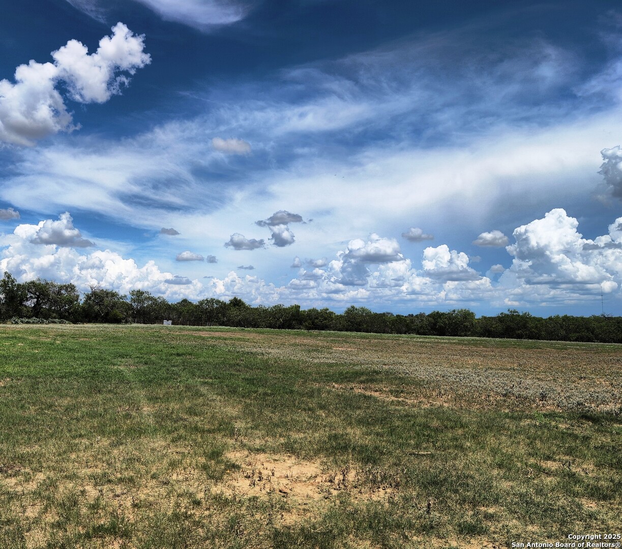 125-acres Cooksey Road Adkins, TX 78101 - Photo 27 of 42
