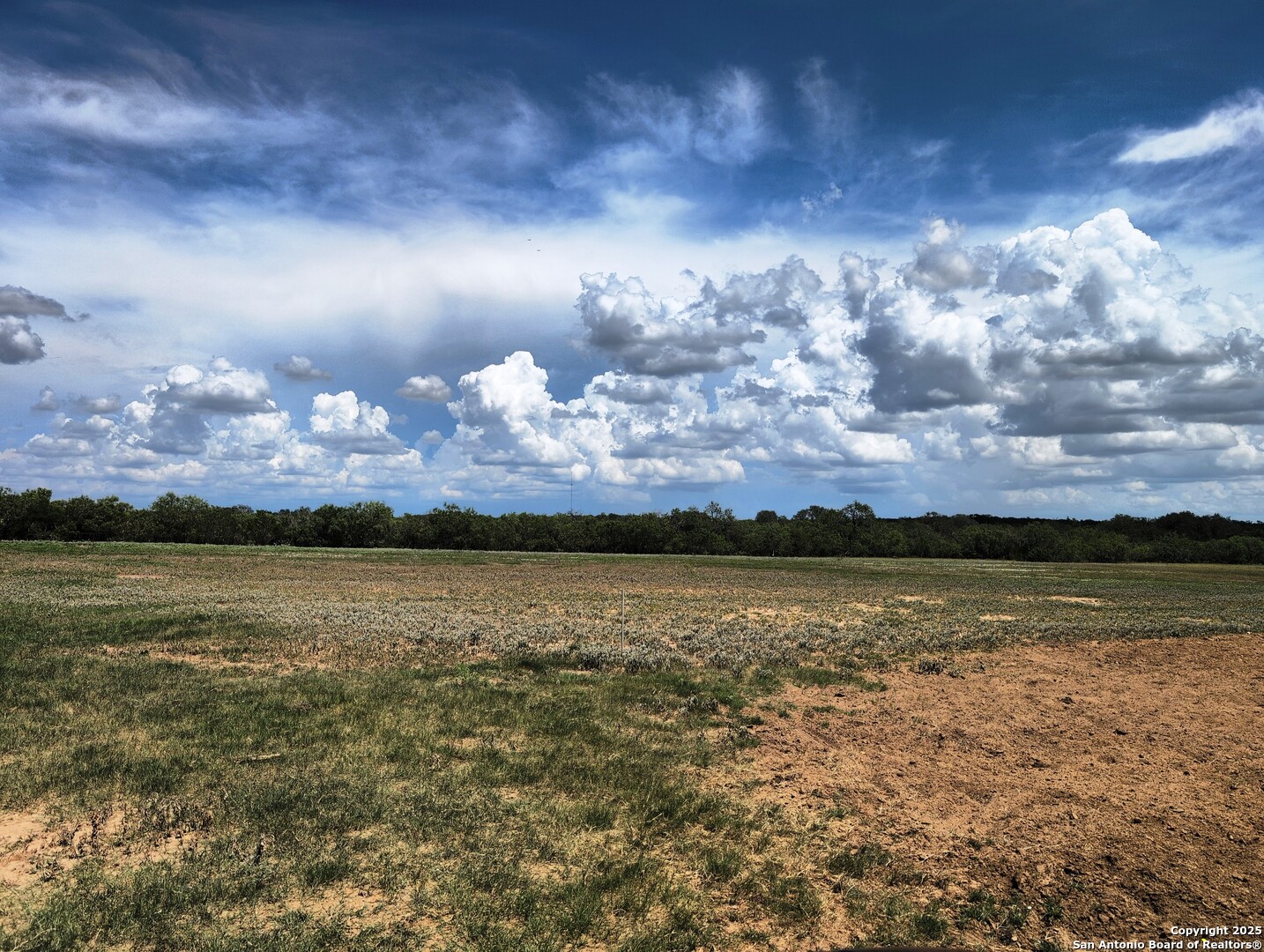 125-acres Cooksey Road Adkins, TX 78101 - Photo 28 of 42