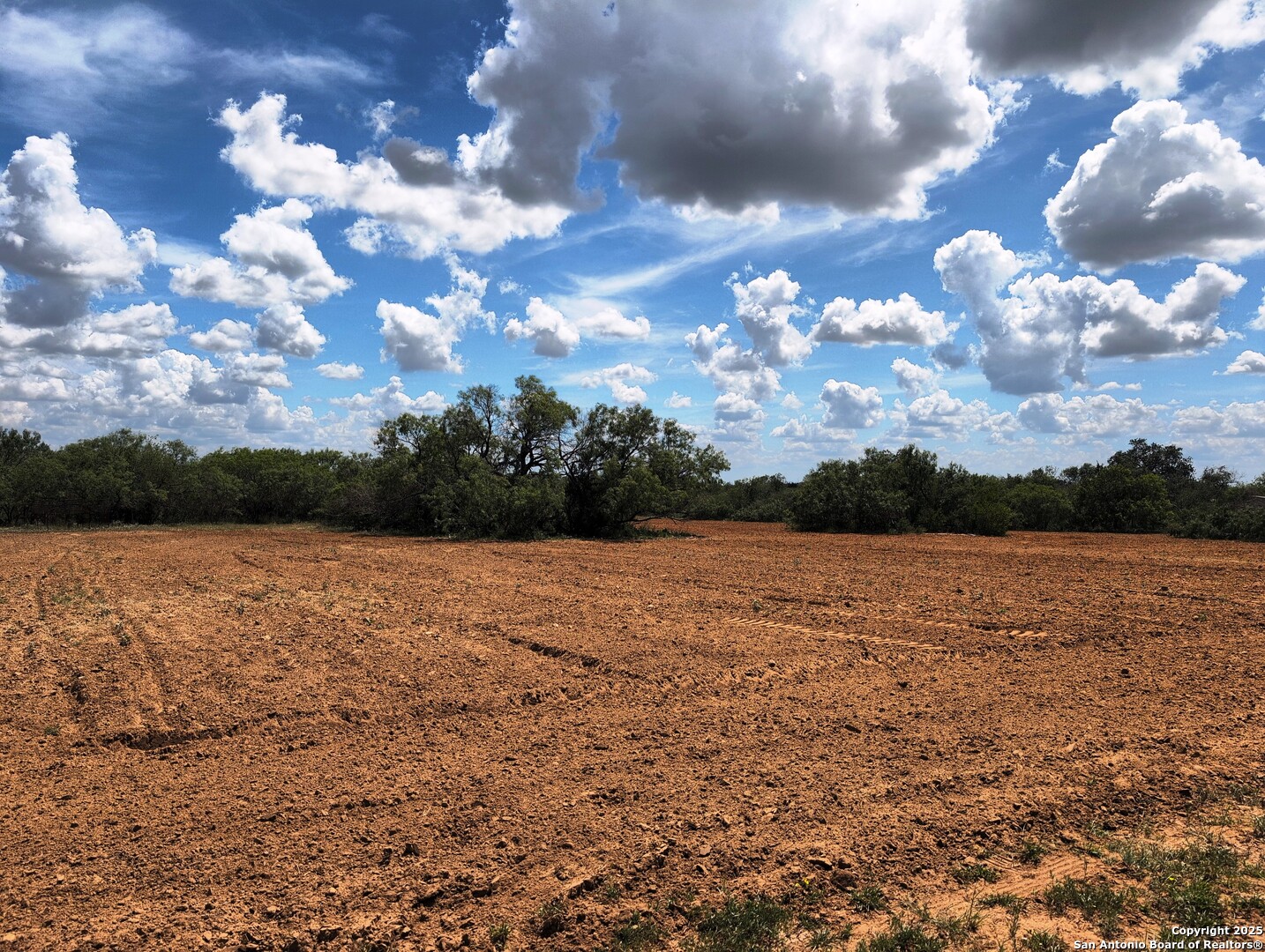 125-acres Cooksey Road Adkins, TX 78101 - Photo 30 of 42