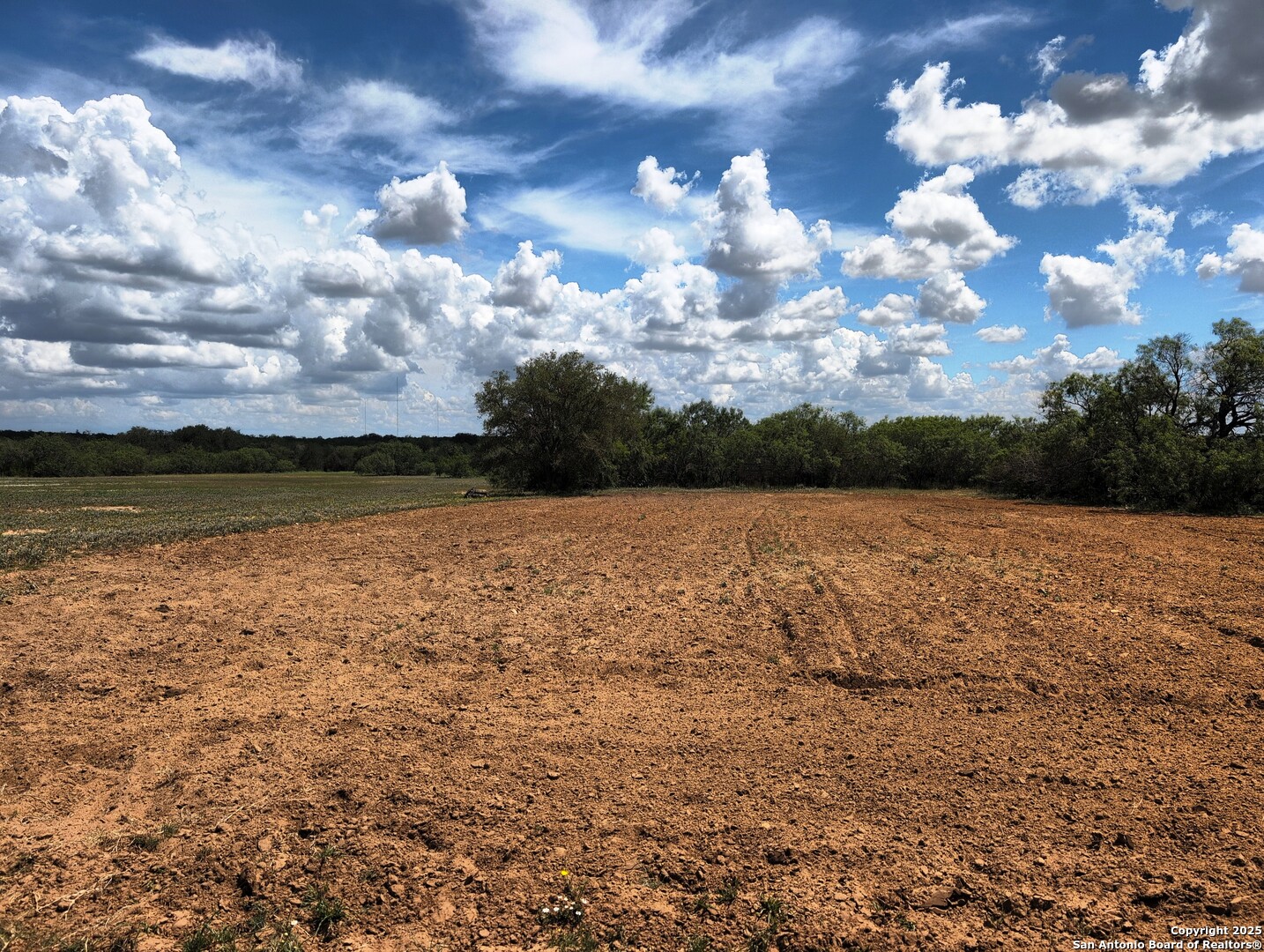 125-acres Cooksey Road Adkins, TX 78101 - Photo 31 of 42