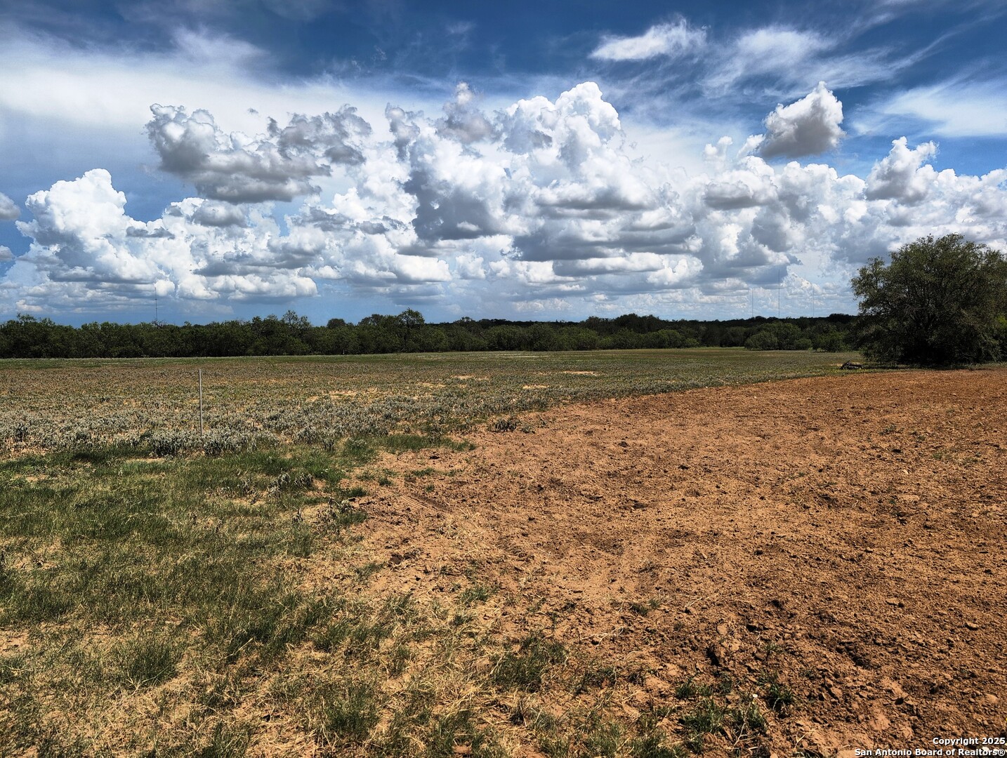 125-acres Cooksey Road Adkins, TX 78101 - Photo 32 of 42