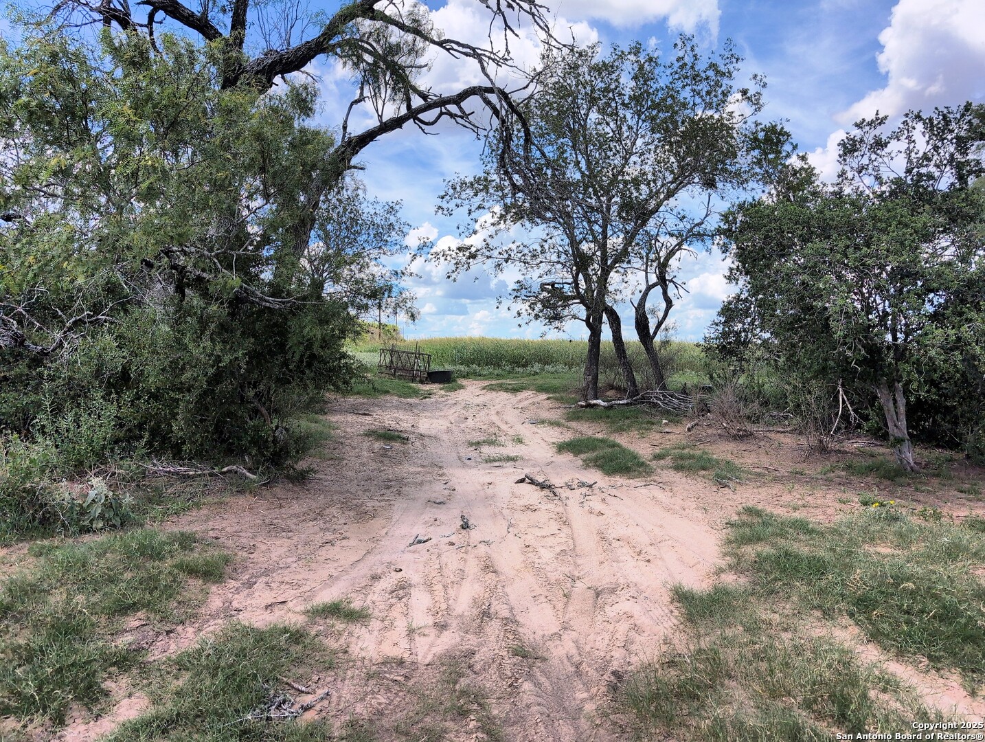 125-acres Cooksey Road Adkins, TX 78101 - Photo 38 of 42