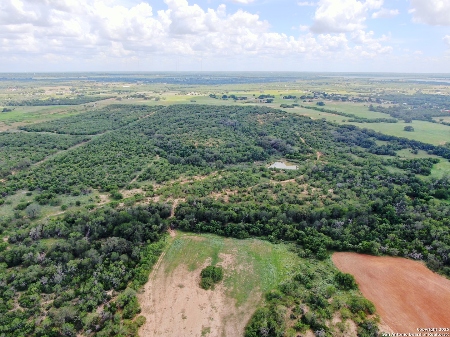 125-acres Cooksey Road Adkins, TX 78101 - Photo 9 of 42