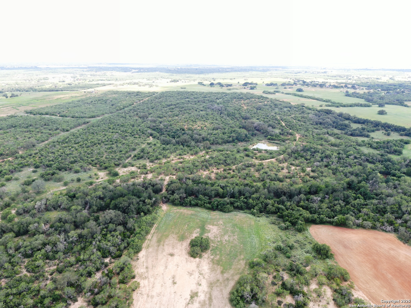 125-acres Cooksey Road Adkins, TX 78101 - Photo 10 of 42