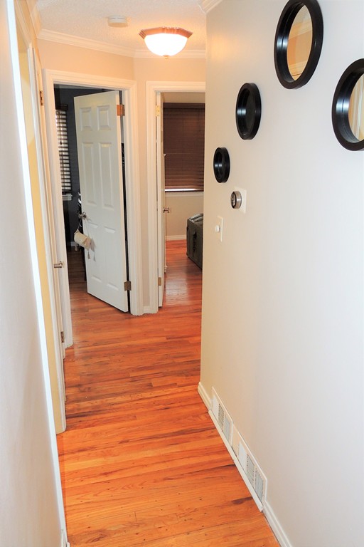 40 Ogden Street Springfield, MA 01151 - Photo 13 of 24 Gallery Image 13