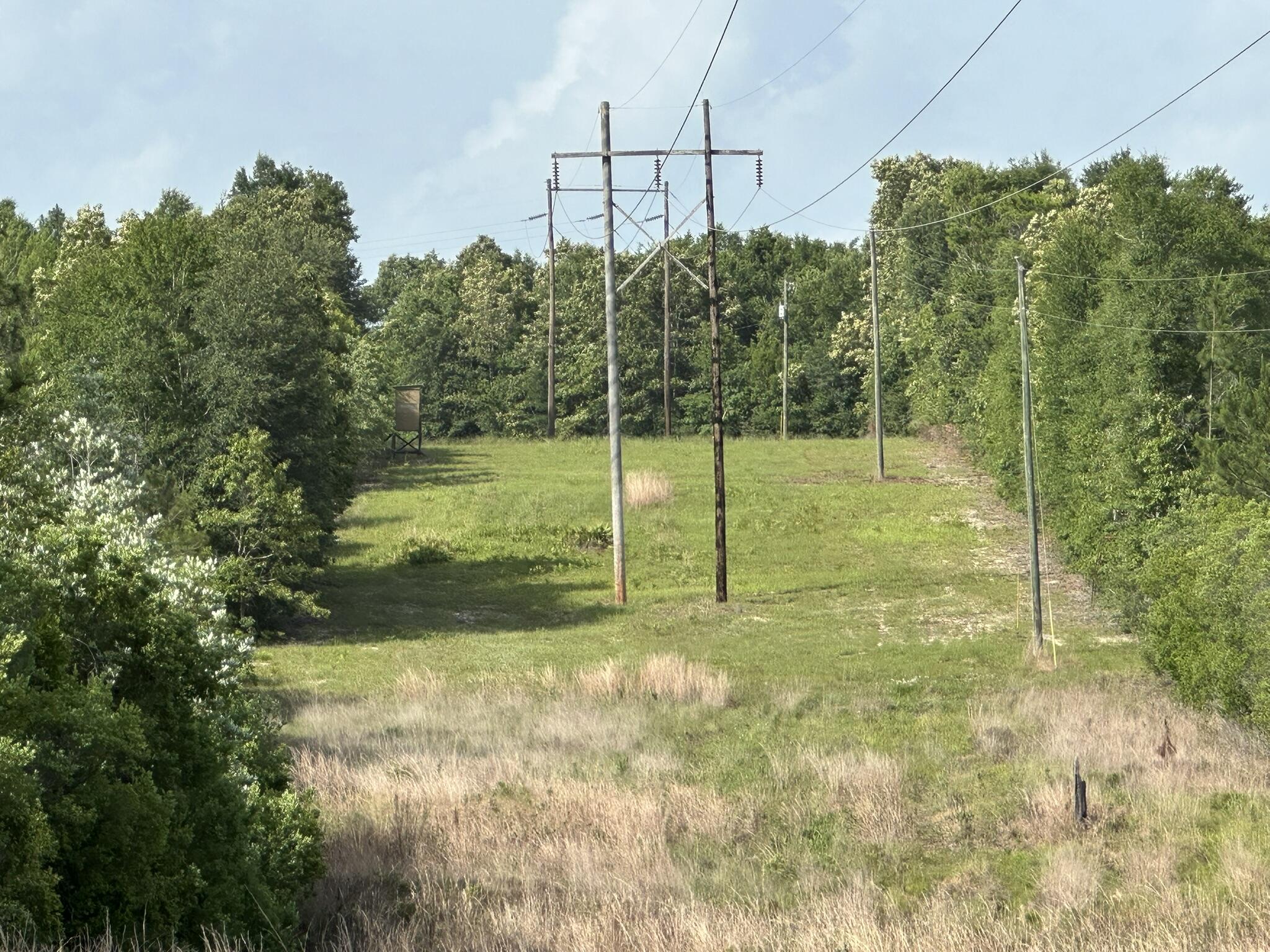 Parcel A Old River Road Baker, FL 32531 - Photo 2 of 12 a view of a yard with a slide