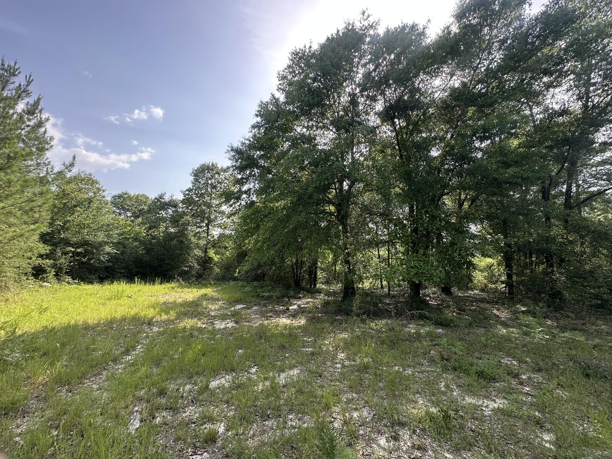 Parcel A Old River Road Baker, FL 32531 - Photo 8 of 12 a view of outdoor space and yard