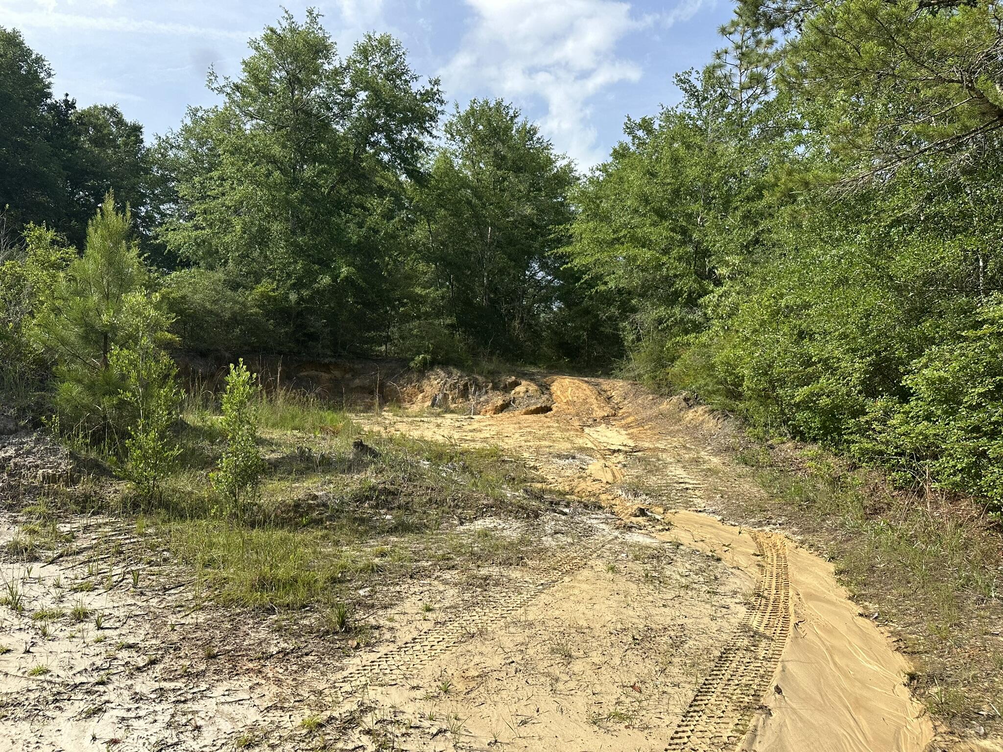 Parcel A Old River Road Baker, FL 32531 - Photo 9 of 12 a view of yard with green space