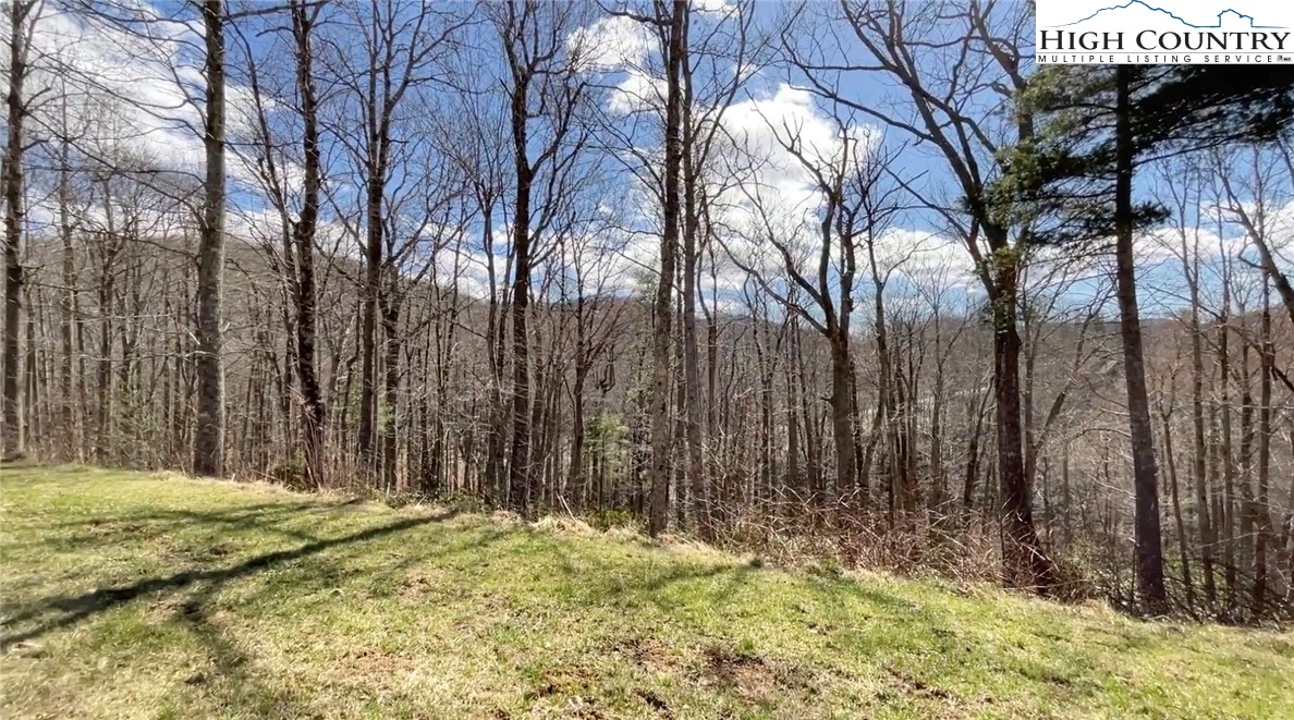 Lot 11-12 Sunset Ridge Drive Boone, NC 28607 - Photo 5 of 28
