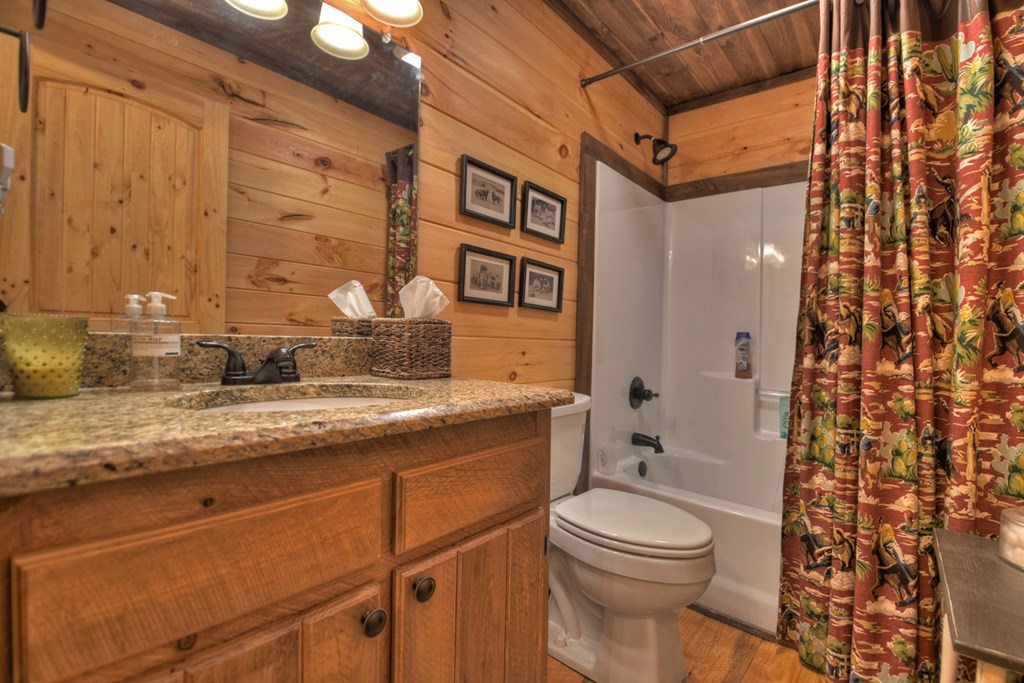 294 Icy Lane Blue Ridge, GA 30513 - Photo 28 of 41 Gallery Image 28