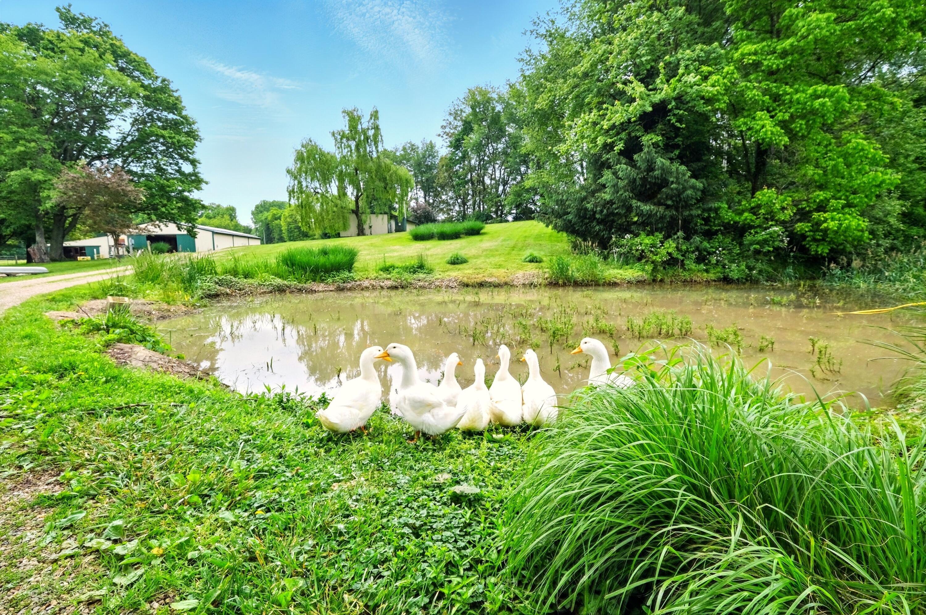 7955 Horn Road Gambier, OH 43022 - Photo 14 of 90 Photo_057