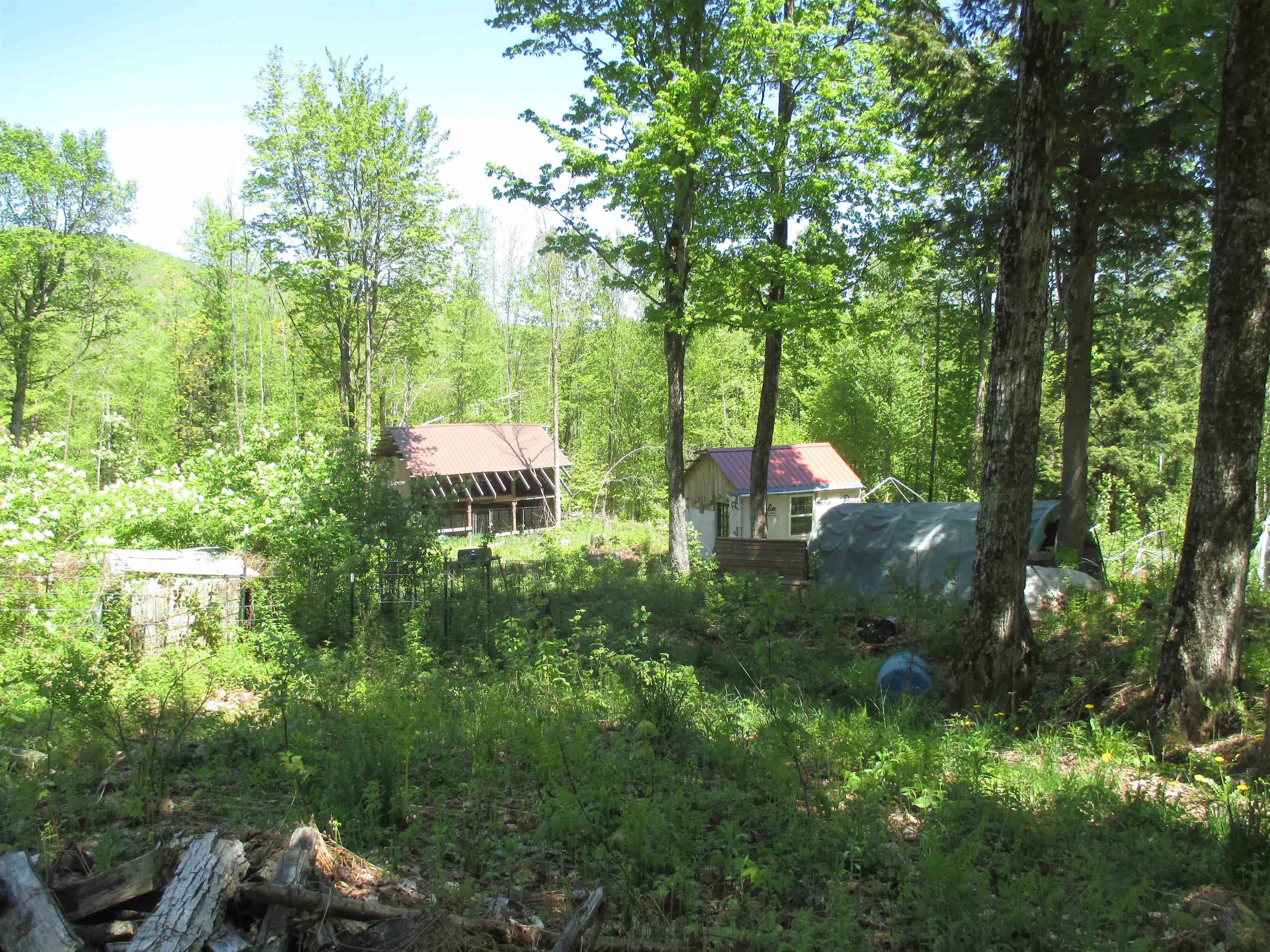 798 Ball Ground Road Westfield, VT 05874 - Photo 17 of 17