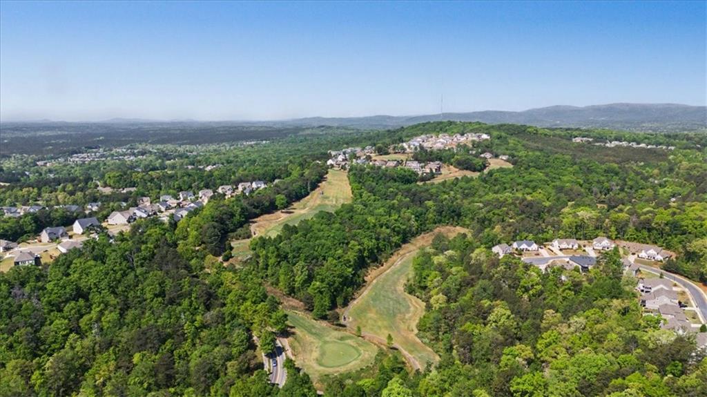 131 Longleaf Drive Canton, GA 30114 - Photo 54 of 61