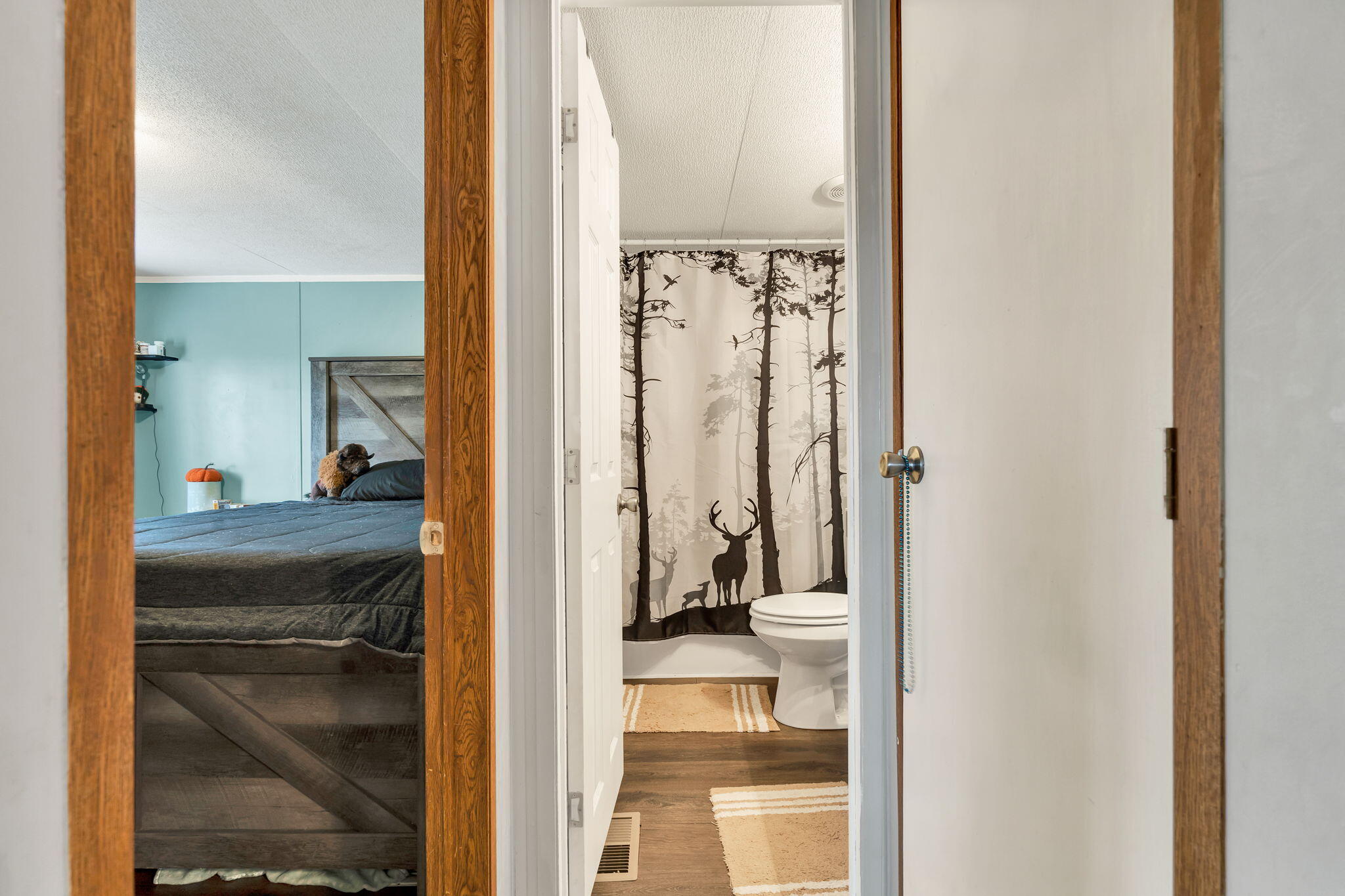 2886 Possum Trot Road Grandview, TN 37337 - Photo 19 of 37 24-web-or-mls-DSC04854