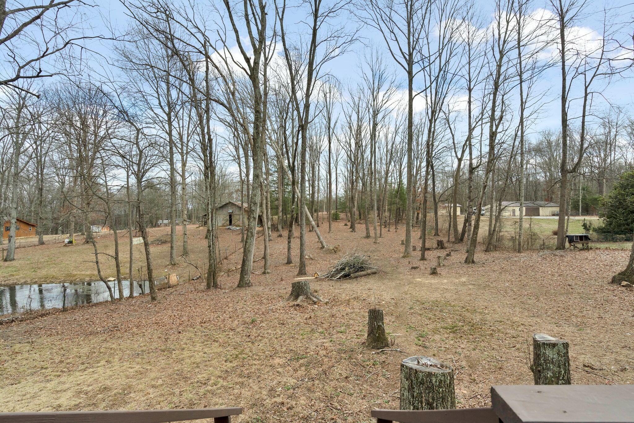 2886 Possum Trot Road Grandview, TN 37337 - Photo 23 of 37 35-web-or-mls-DSC04927
